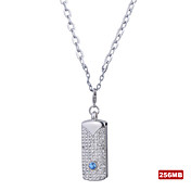 Stainless Steel Crystal USB 2.0 Flash drive Necklace (256MB)