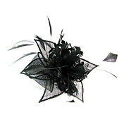 fascinateur belle plume weddding / fête de fleurs coiffe / lune de miel