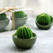 cactus kaars gunst