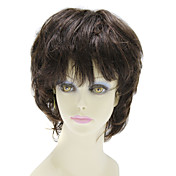 Capless Short 100% Human Hair Straight Hair Wig