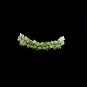 Green Flower Headbands