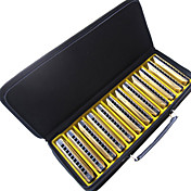 Huang - (103Y) Archaize Deluxe Harmonica 12 Keys Pack/10 Holes/20 Tones