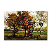 håndmalt berømte oljemaleri med strukket ramme 24 "x 36" av van Gogh