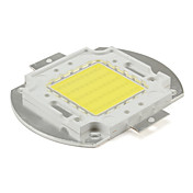 diy 50w 5000lm 1500ma natürliches weißes Licht integrierten LED-Strahler (30-32V)