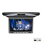 지붕 10.1 인치 TFT LCD 디스플레이 모니터, 친구, NTSC 장착