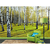 Les arbres dans la nature Mural automne