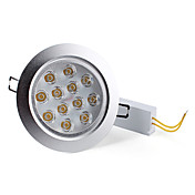 12W 1080-1200lm 3000-3500K lämmin valkoinen valo LED katto lamppu (85-265V)