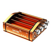 SKYRC AAA Discharger