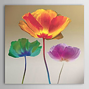 Peinture à l'huile réalisée à la main sur canevas tendu - Poppy Chromatic de Robert Mertens
