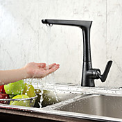 Contemporary Painting Single Handle Centerset Kictchen Faucet