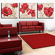 Stretched Canvas Print Botanical Floral Set of 3 1301-0170