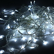 100-Light White LED Wedding Decoration String (10m, 220V)