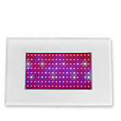 Planta LED cresce a luz com 100 LEDs