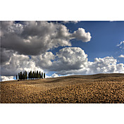 Printed Art Landscape Tuscany III by Maciej Duczynski