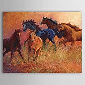 Hand Painted Oliemaleri Animal Horse 1304-AN0079