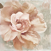 trykte kunst Blomster kronblade impasto 1 efter farve bageri