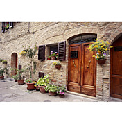 Printed Art Landscape Flowers On The Wall, Tuscany, Italy by Monte Nagler