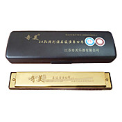 Qimei - (QM24A-13) титановая Гармоника 12 Keys/24 отверстий