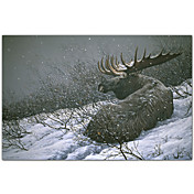 Gedruckt Kunst Tiere Moose in der Bürste von Ron Parker