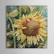 Dipinti a mano olio pittura floreale 1305-FL0120