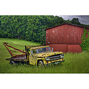 Printed Art Landscape Truck in Weeds by Bob Rouse