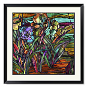 Framed Art Print Floral Candy Coated Irises by Mindy Sommers
