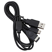  2-in-1 Charging USB Cable for NDS and NDS Lite