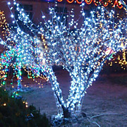  LED String Lamp Christmas & Halloween Decoration  Festival Light Wedding Light(CIS-84002)