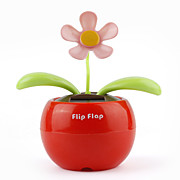  solar flor potencia flip flap planta de color rojo