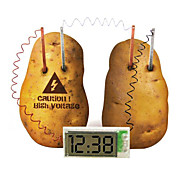  Novelty Potato Powered Clock