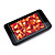  4GB 3.0 Inch Video/Music/FM Radio/Camera/Video Recording/Speaker/Ebook/Game Portable Media Player (HY112)