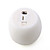  Colorful Apple Fruit LED Night light Lamp Changing