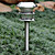  Solar LED Garden Lawn Light (CIS-41103)