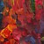  Peinture à l'huile réalisée à la main sur canevas tendu - Les Vignes Rouges de Vincent Van Gogh