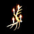  Antler Featured Chandelier with 4 Lights