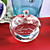  Personlized Crystal Apple Keepsake