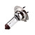  Halogen Headlight Bulb H7 55W