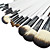  Professional Brush Set With Dark Lovely Pouch(20 Pcs)