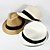  kleine fedora strooien hoed (meer kleuren)