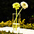 Classic Design Clear Glass Vase Centerpiece