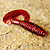  Soft Bait Worm 80mm Slow Sinking Plastic Fishing Lure 8pcs
