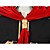  Cosplay Costume Inspired by Final Fantasy Type-0-Rosefinch King