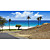  Coastal Landscapes Beach and Tropical Nature Mural
