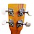  NG - (719) Sapelle Riptide Soprano Ukulele de estilo