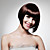  Capless Short Bob High Quality Synthetic Dark Brown Straight Hair Wig