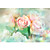  Pink Roses Floral Nature Mural