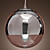  60W Pendant Light in Globe Metal Shape