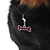  Rhinestone Decorated Dog Bone Style Collar Charm for Dogs Cats