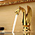 Bionics Design Centerset Bathroom Sink Faucet (Ti-PVD Finish)