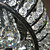  Lámpara Chandelier de Cristal con 5 Bombillas - NAPIER
